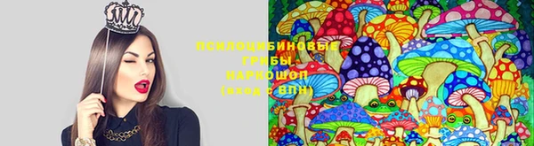 спайс Богданович