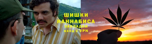 спайс Богданович