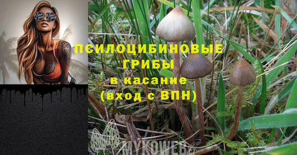 MDMA Богородицк