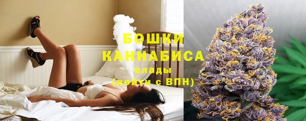 спайс Богданович