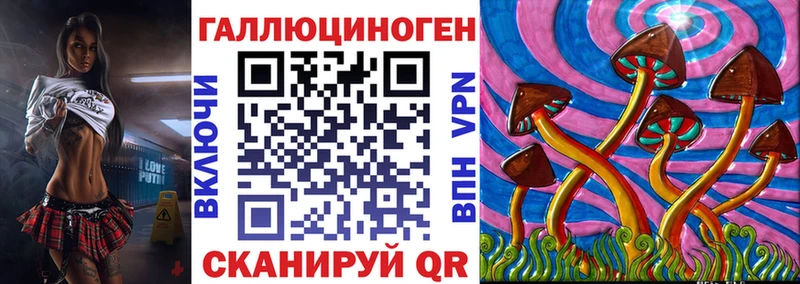 Псилоцибиновые грибы Psilocybe  Ейск 